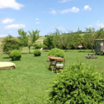 Grande étendue de verdure avec cabanon et une peutite table avec 2 chaises.
