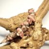 Bracelet bohème en pépite de pierre de rhodochrosite posé sur morceau de bois