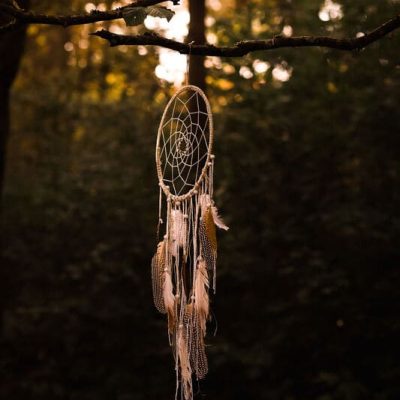 photo d'un attrape rêve en coton avec plumes attaché à un arbre en pleine nature