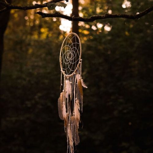 photo d'un attrape rêve en coton avec plumes attaché à un arbre en pleine nature