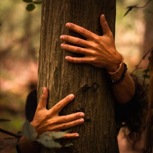 photo de 2 mains de femme posé sur le tronc d'un arbre